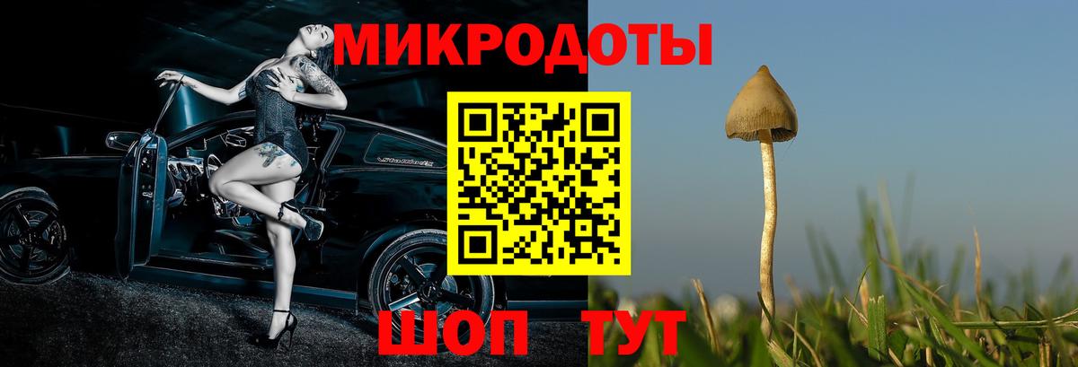 Галлюциногенные грибы MAGIC MUSHROOMS  Вход с VPN  Псилоцибиновые грибы мухоморы  Миллерово 